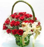 Hạnh phúc bắt đầu