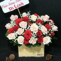Giỏ hoa mừng khai trương (4)