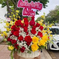 Giỏ hoa mừng khai trương (19)