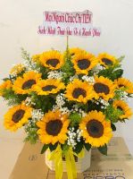 Giỏ hoa mừng khai trương (22)
