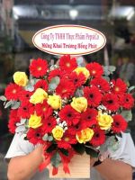 Giỏ hoa mừng khai trương (55)