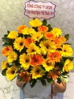 Giỏ hoa mừng khai trương (58)