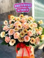 Giỏ hoa mừng khai trương (59)