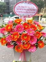 Giỏ hoa mừng khai trương (83)