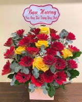 Giỏ hoa đồng tiền đủ màu (85)