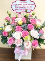 Giỏ hoa mừng khai trương (93)