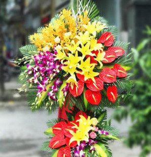 Hoa Khai Trương
